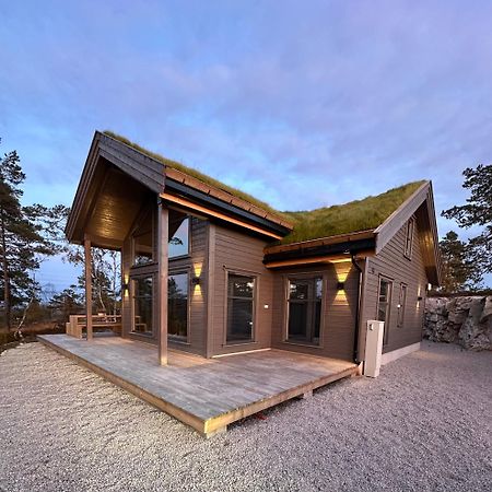 Modern Northern Lights Cabin Drangedal Exterior photo