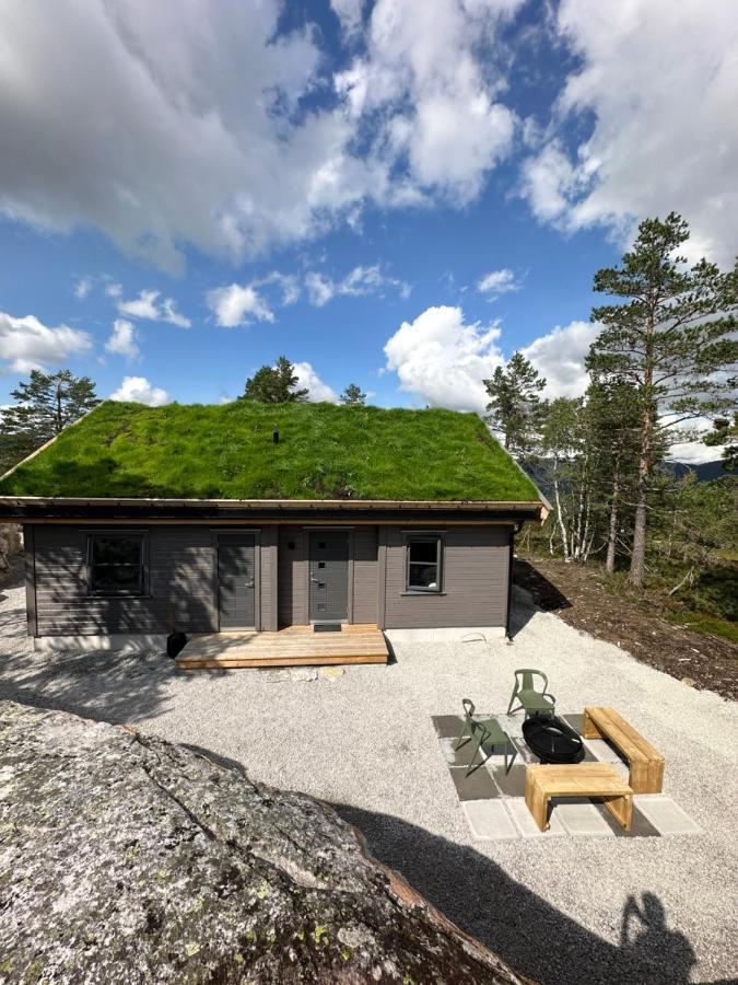 Modern Northern Lights Cabin Drangedal Exterior photo