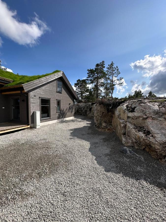 Modern Northern Lights Cabin Drangedal Exterior photo