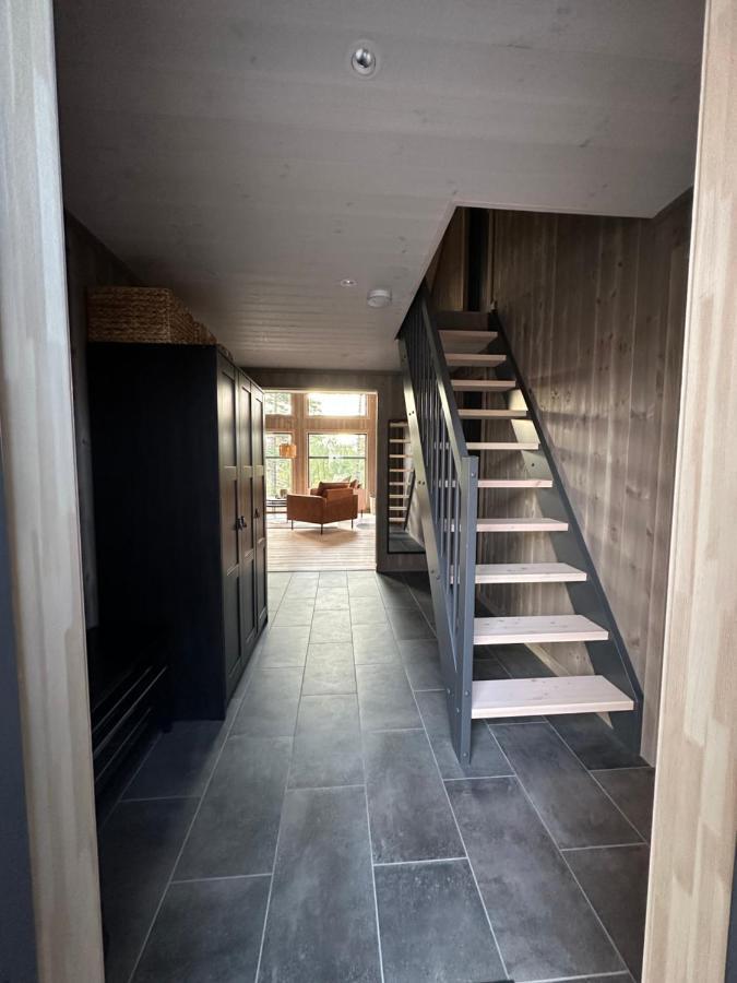 Modern Northern Lights Cabin Drangedal Exterior photo