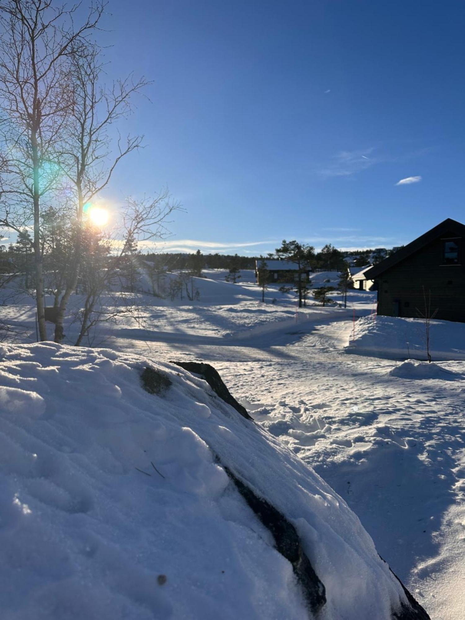 Modern Northern Lights Cabin Drangedal Exterior photo
