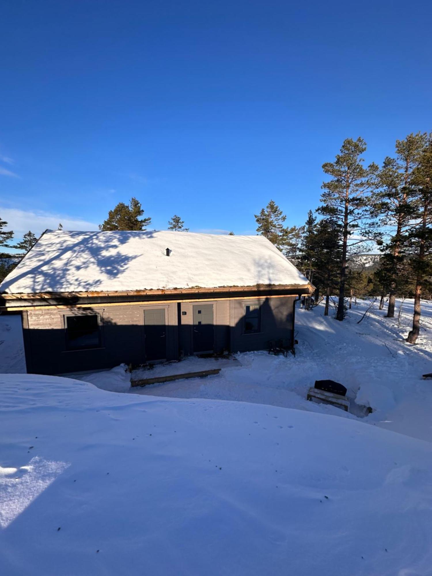 Modern Northern Lights Cabin Drangedal Exterior photo