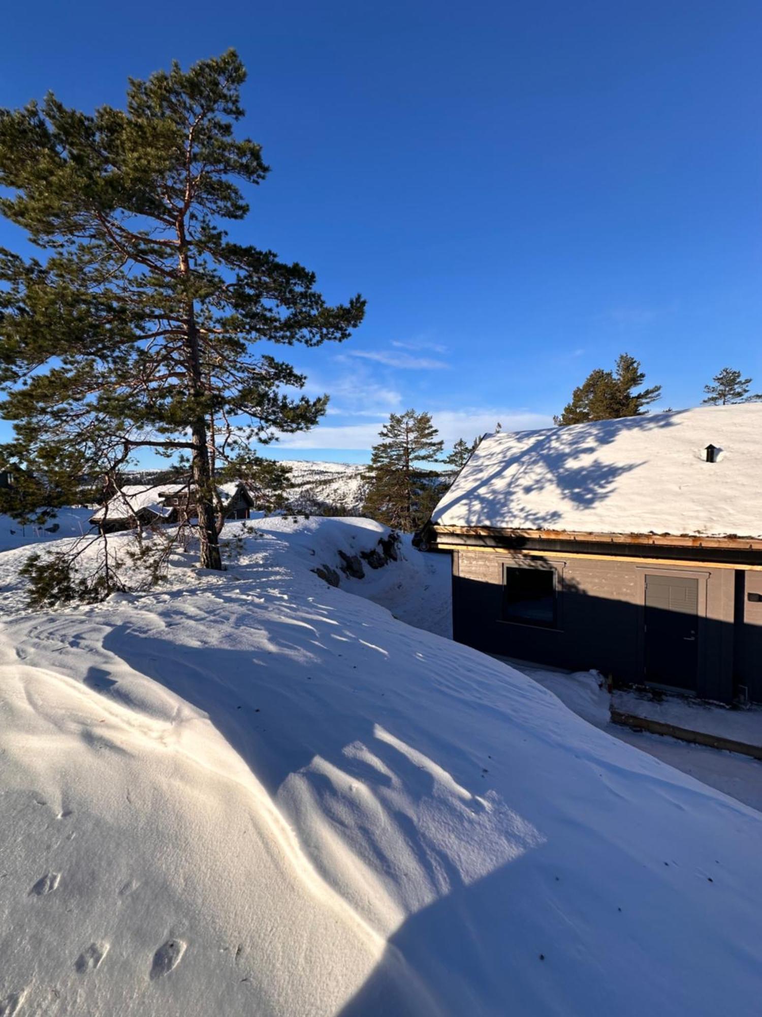 Modern Northern Lights Cabin Drangedal Exterior photo