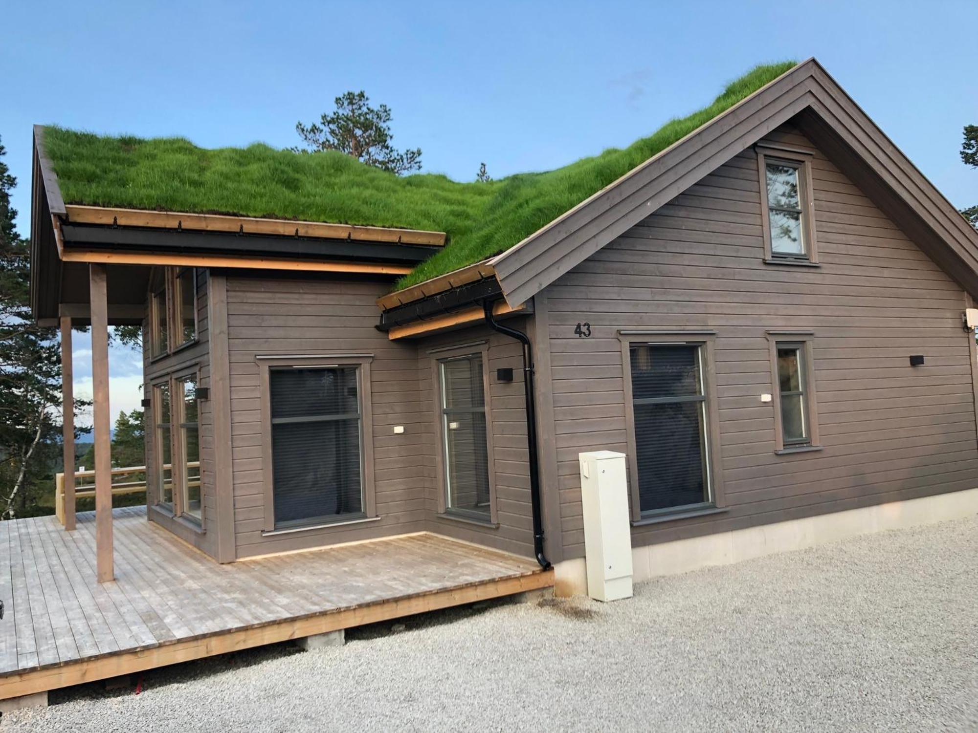 Modern Northern Lights Cabin Drangedal Exterior photo