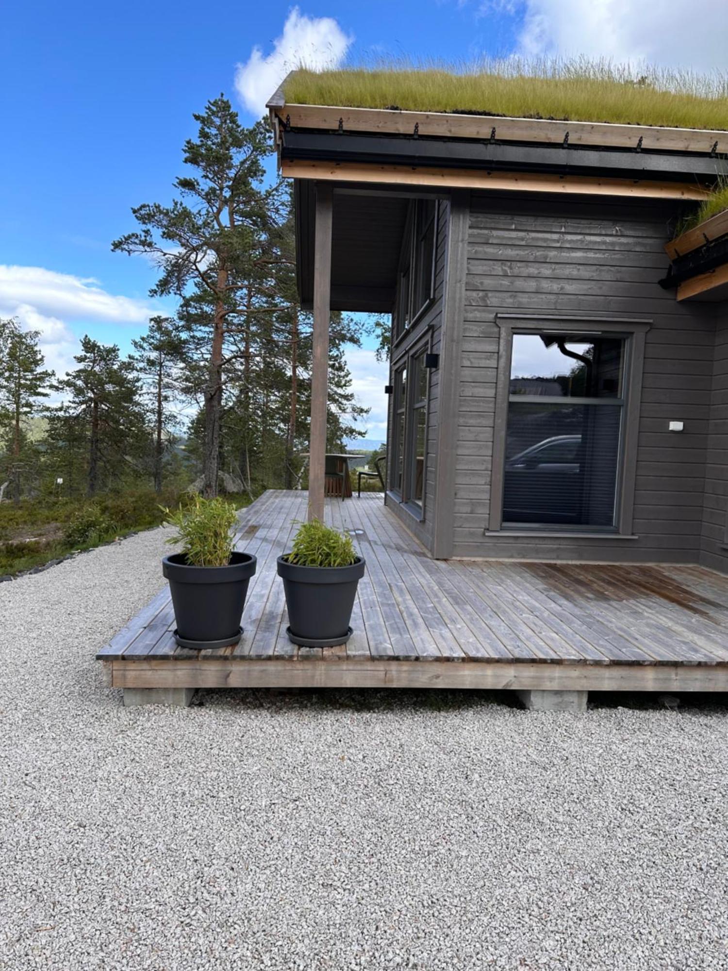 Modern Northern Lights Cabin Drangedal Exterior photo