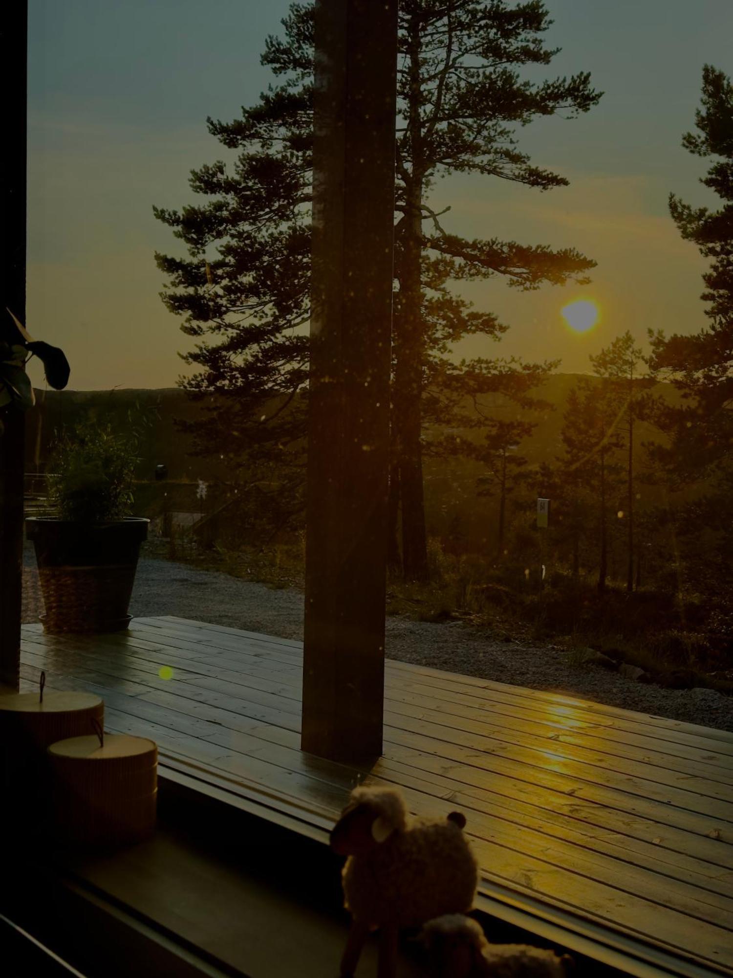 Modern Northern Lights Cabin Drangedal Exterior photo
