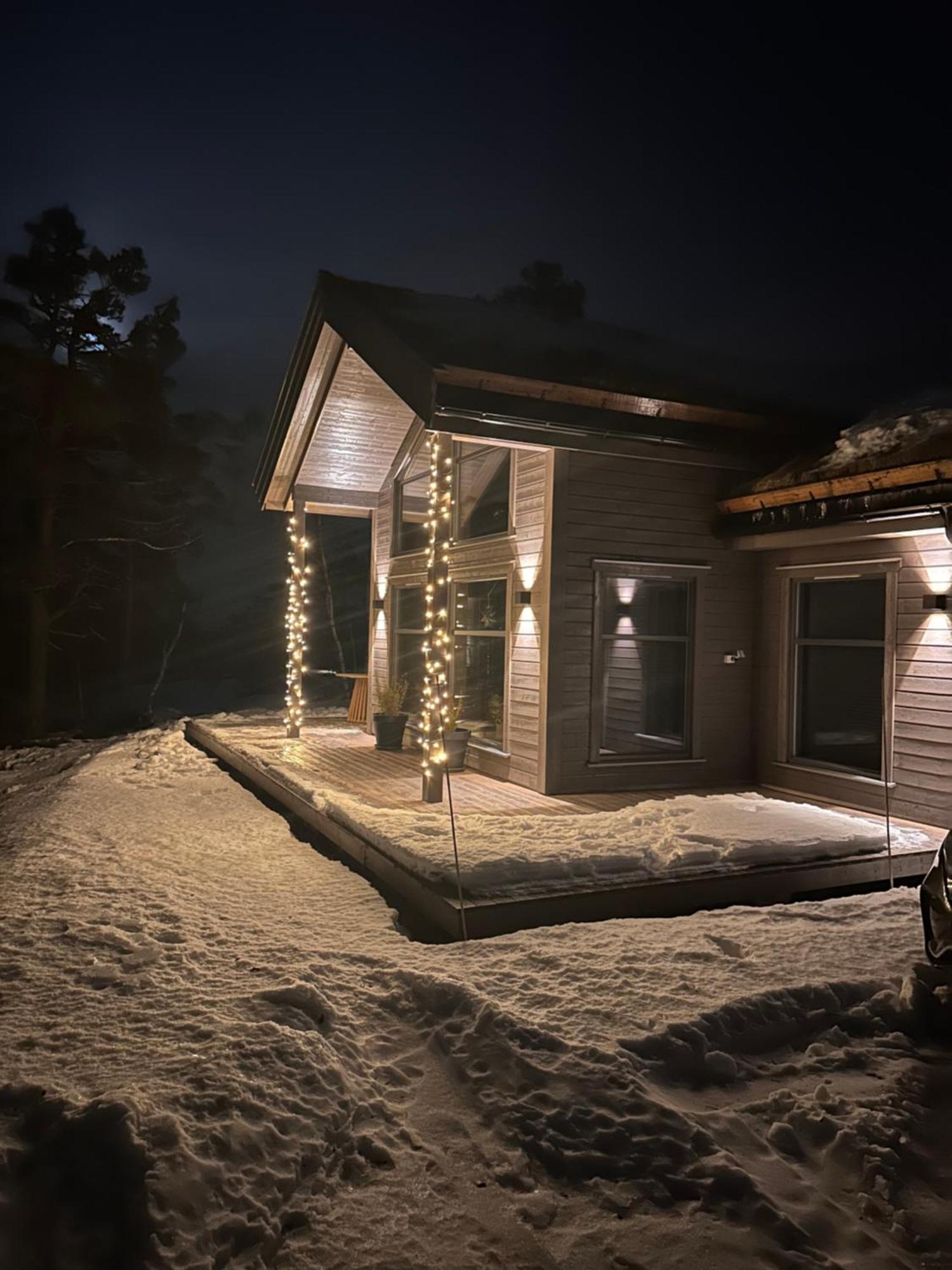 Modern Northern Lights Cabin Drangedal Exterior photo