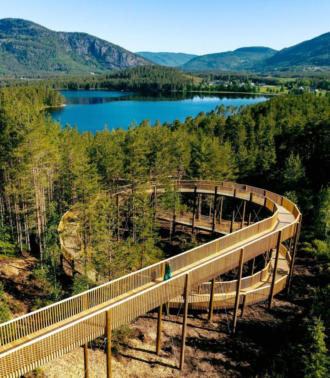 Modern Northern Lights Cabin Drangedal Exterior photo